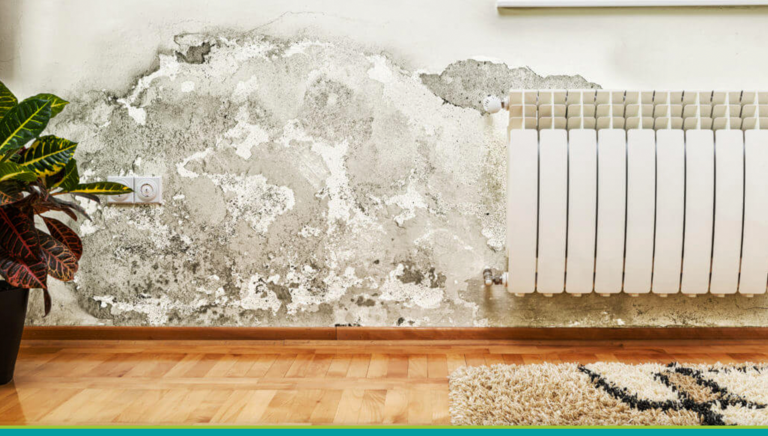 Indoor humidity: 7 tips to dehumidify your home!