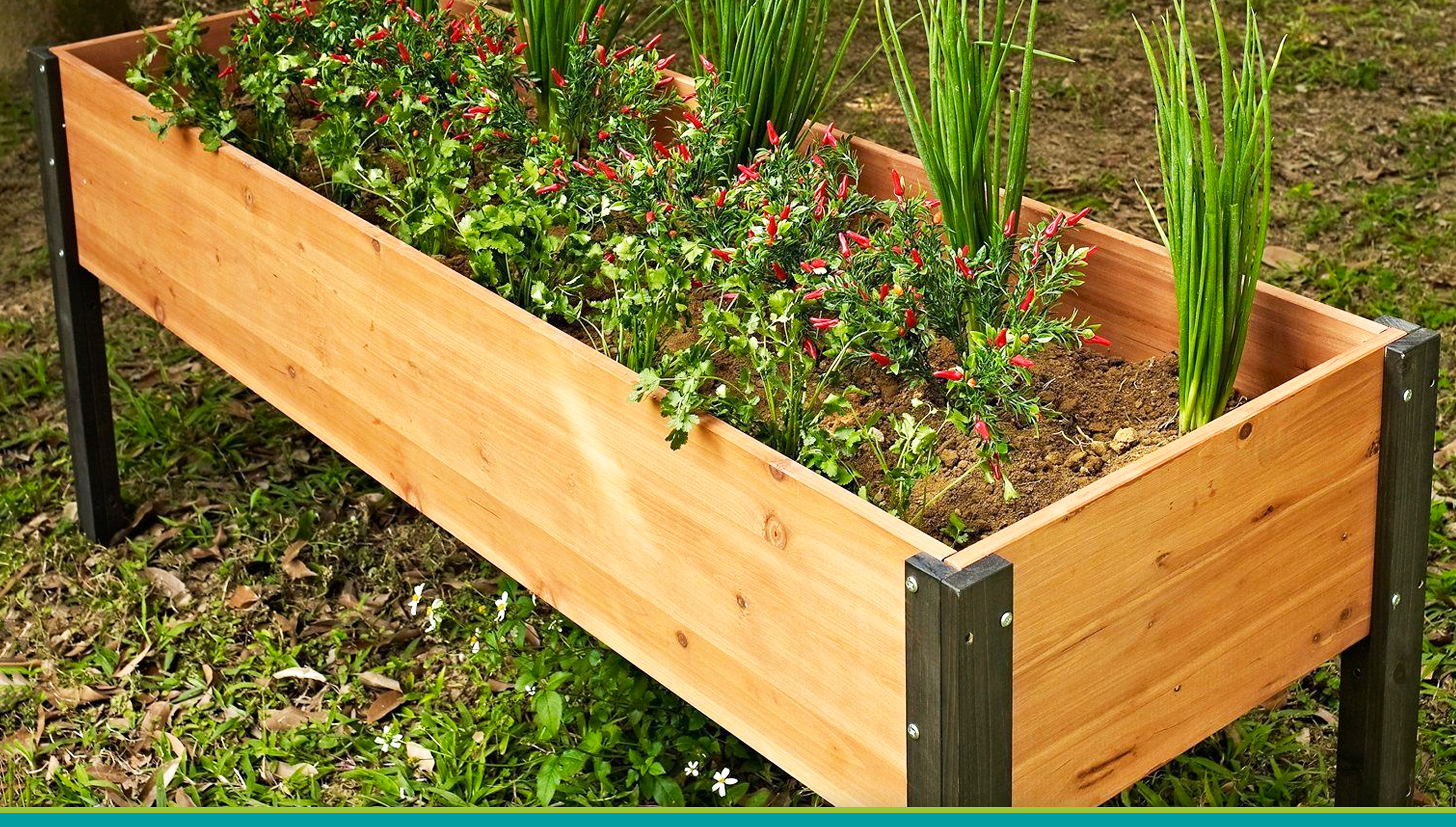 12 Excellent Reasons to Garden in Raised Beds!