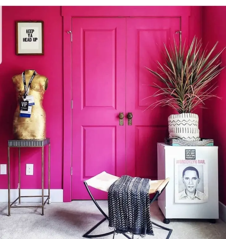 Pantone's Color of the Year 2023: Viva Magenta Color Palette 409